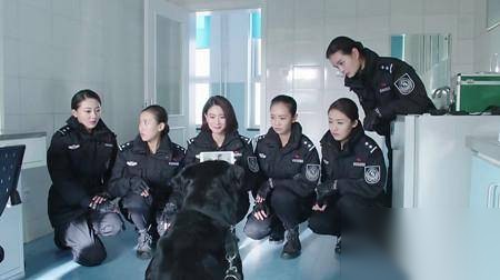 警花与警犬历史图片