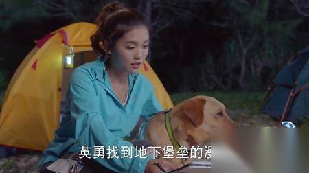 神犬小七第二季历史图片