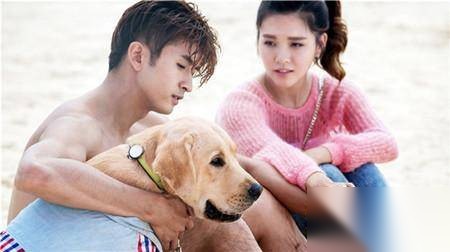 神犬小七第二季历史图片