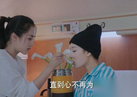 旋风少女2历史图片