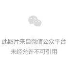 武媚娘传奇历史图片