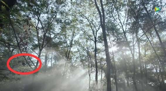 《扶摇》电视剧穿帮镜头大盘点 不愧为穿越剧啊历史图片