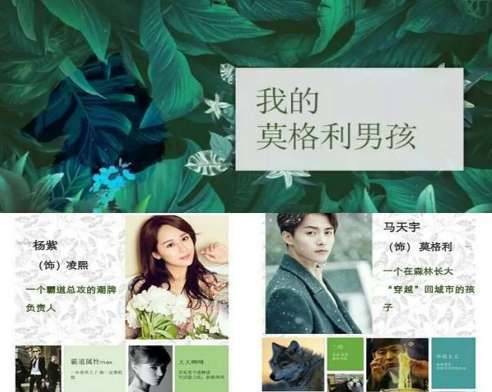 杨紫马天宇《我的莫格利男孩》剧情讲的是什么 主要剧情介绍历史图片