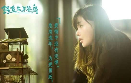 张天爱陈柏霖电视剧《鳄鱼与牙签鸟》什么时候播出?鳄鱼与牙签鸟的故事历史图片