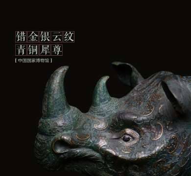 《如果国宝会说话》历史图片