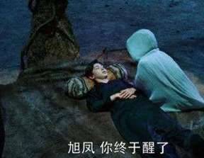 《香蜜沉沉烬如霜》历史图片