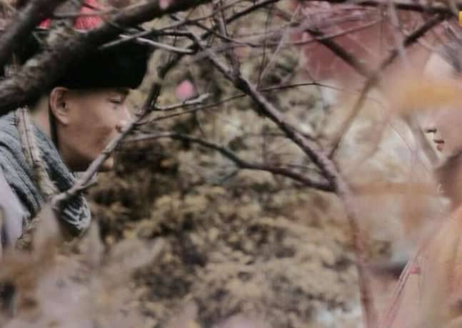 《如懿传》历史图片