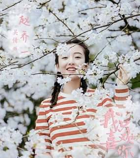 《我只喜欢你》历史图片