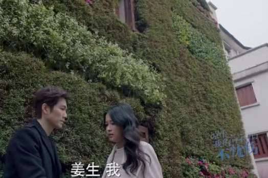 《凉生我们可不可以不忧伤》历史图片