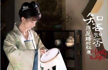 《知否知否应是绿肥红瘦》历史图片