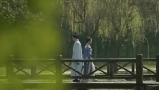 《知否知否应是绿肥红瘦》历史图片