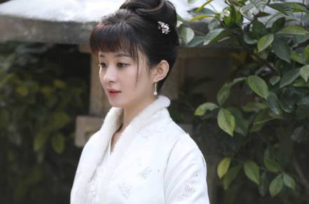 《知否知否应是绿肥红瘦》历史图片
