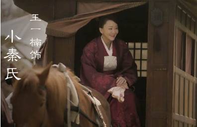 《知否知否应是绿肥红瘦》历史图片