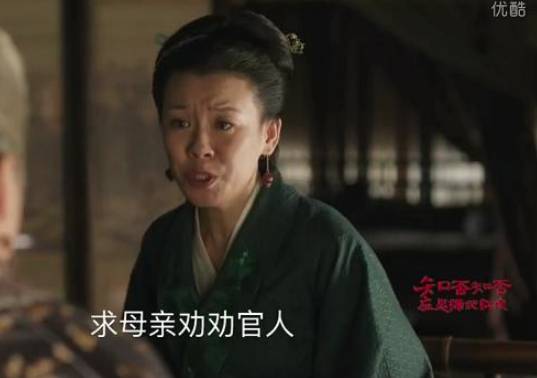 《知否知否应是绿肥红瘦》历史图片