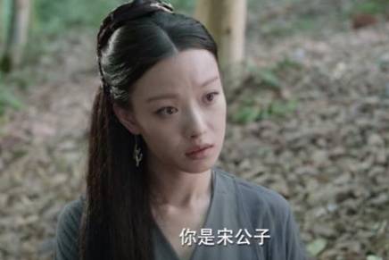 宸汐缘历史图片