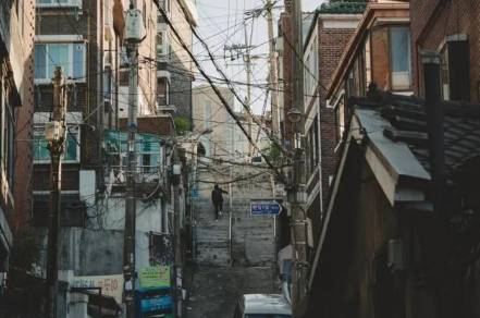 寄生虫历史图片