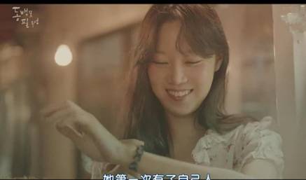 山茶花开时历史图片