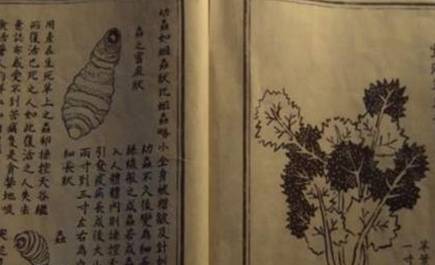 《李尸朝鲜》历史图片