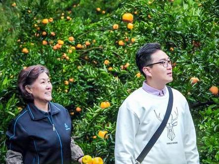 《我们在梦开始的地方》历史图片