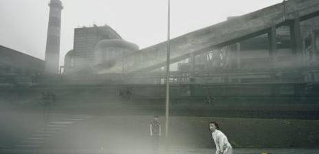 《木棉花开红烂漫》历史图片