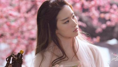 《花木兰》历史图片