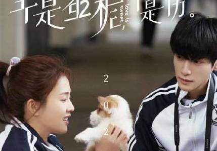 《半是蜜糖半是伤》历史图片