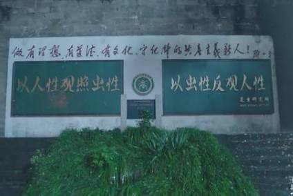 《破茧》历史图片