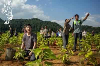 《江山如此多娇》历史图片