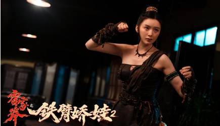 《霍家拳之铁臂娇娃2》历史图片
