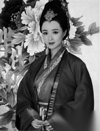 芈月历史图片