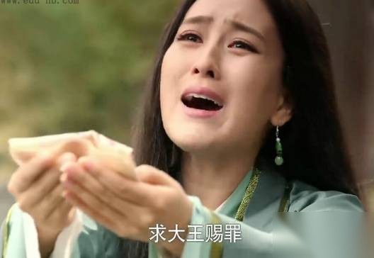 魏琰历史图片