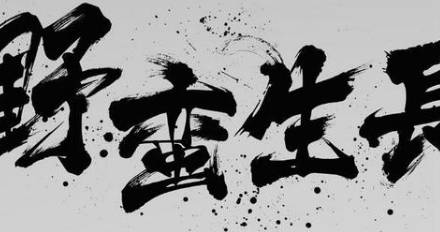《野蛮生长》历史图片