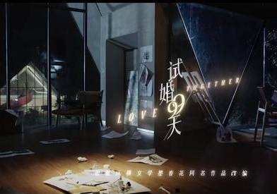 《试婚99天》历史图片