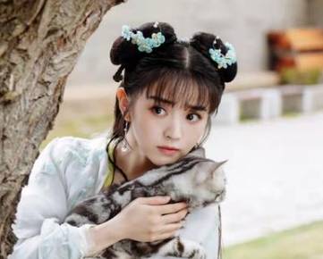 《星落凝成糖》历史图片