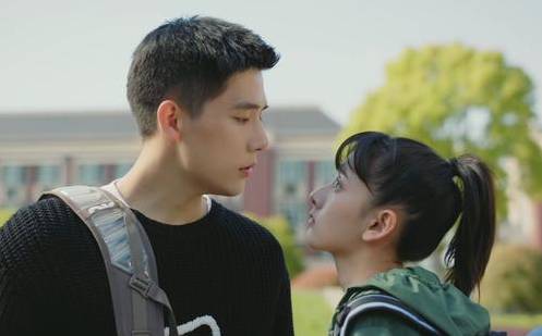《陪你逐风飞翔》历史图片