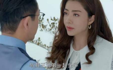 《家族荣耀》历史图片