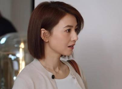 《完美伴侣》历史图片