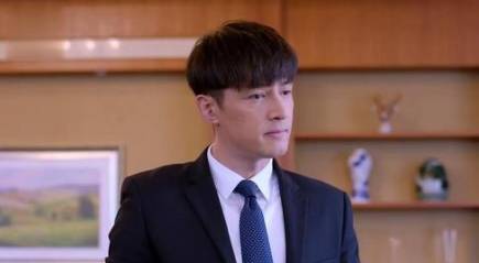 《完美伴侣》历史图片