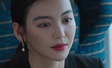 完美伴侣历史图片