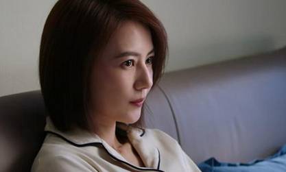 完美伴侣历史图片