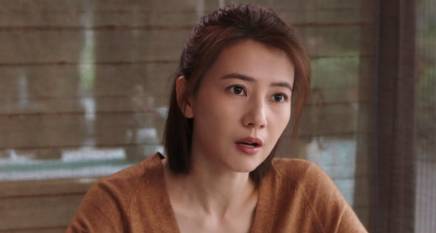 《完美伴侣》历史图片