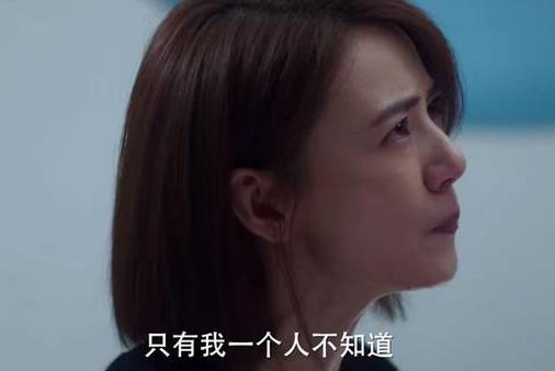 《完美伴侣》历史图片
