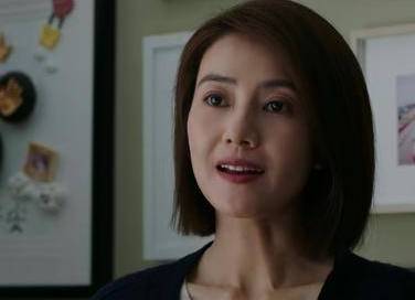 完美伴侣历史图片