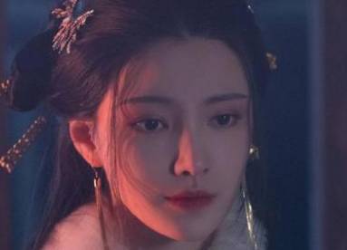《长公主在上》历史图片