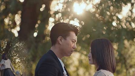 《林深见鹿》历史图片