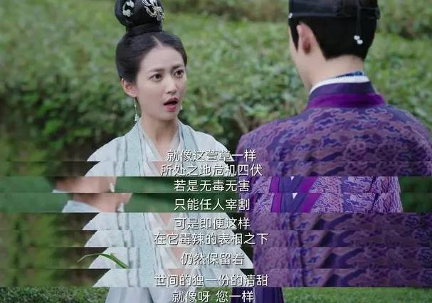 《浮图缘》历史图片