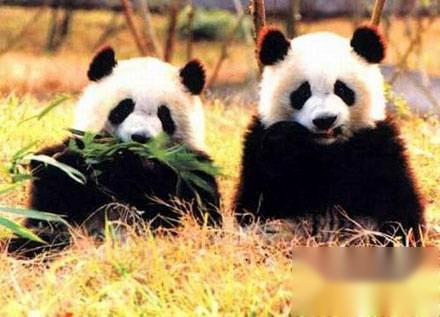 历史上的今天历史图片