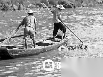 黄河历史图片