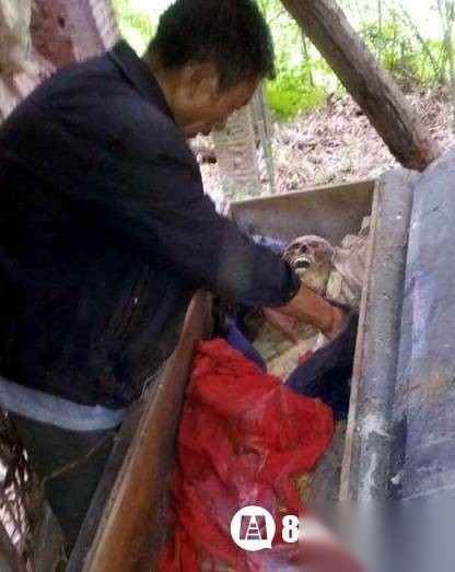 死亡历史图片