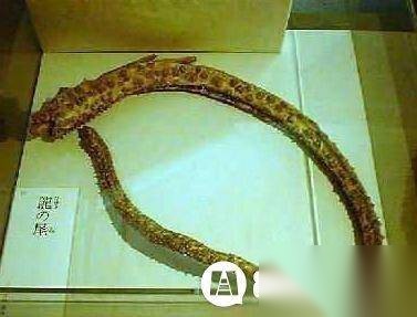 传说历史图片